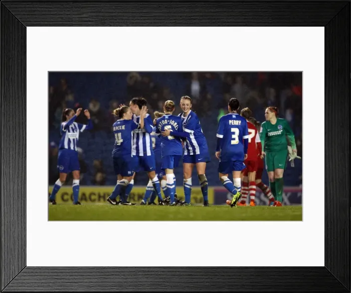 Framed Print : Brighton & Hove Albion Women vs Charlton Athletic Ladies: FA Womens Premier League Clash at American Express Community Stadium (December 2015) Framed Print : Brighton & Hove Albion Women vs Charlton Athletic Ladies: FA Womens Premier League Clash at American Express Community Stadium (December 2015)