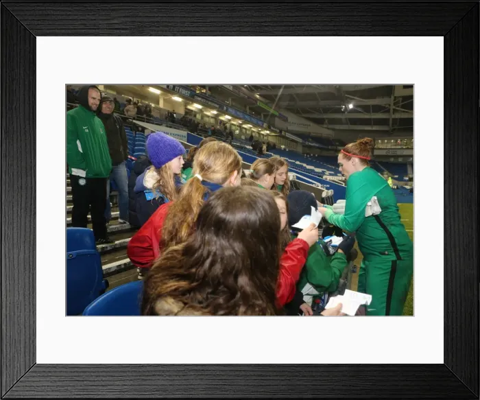 Framed Print : Brighton & Hove Albion Women vs Charlton Athletic Ladies: FA Womens Premier League Showdown at American Express Community Stadium (December 2015) Framed Print : Brighton & Hove Albion Women vs Charlton Athletic Ladies: FA Womens Premier League Showdown at American Express Community Stadium (December 2015)