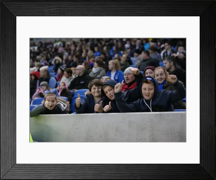 Framed Print : Brighton & Hove Albion Women vs Charlton Athletic Ladies: FA Women's Premier League Showdown at American Express Community Stadium (December 2015) Framed Print : Brighton & Hove Albion Women vs Charlton Athletic Ladies: FA Women's Premier League Showdown at American Express Community Stadium (December 2015)
