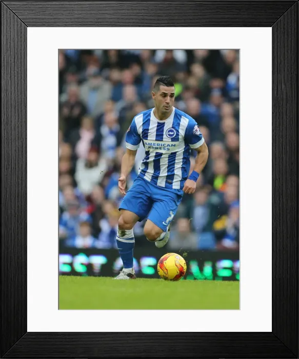 Framed Print : Championship Showdown: Brighton and Hove Albion vs. Middlesbrough (19DEC15)