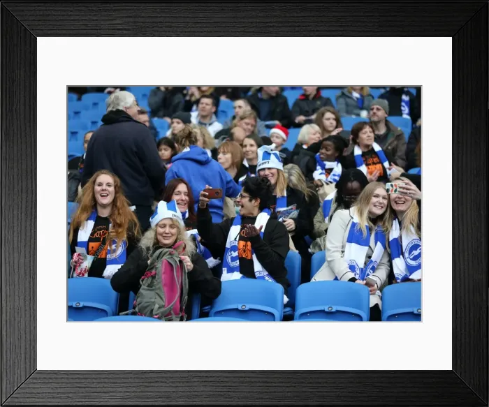 Framed Print : Brighton and Hove Albion vs. Middlesbrough: Sky Bet Championship Showdown at American Express Community Stadium (19DEC15) Framed Print : Brighton and Hove Albion vs. Middlesbrough: Sky Bet Championship Showdown at American Express Community Stadium (19DEC15)