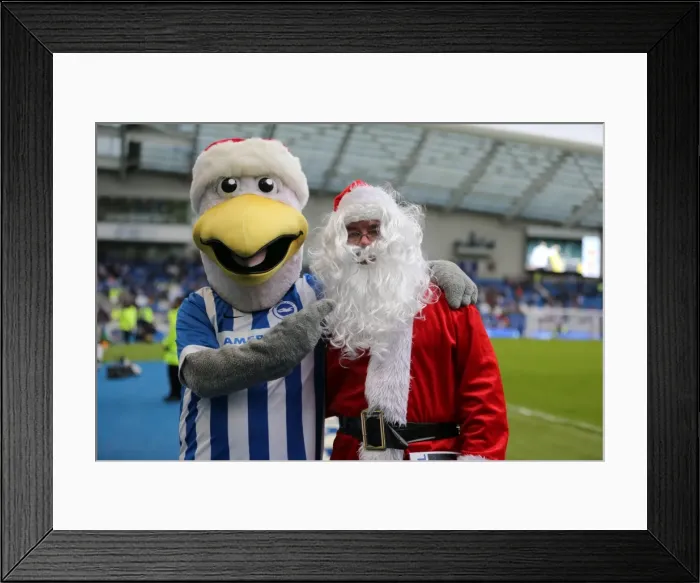 Framed Print : Brighton and Hove Albion vs. Middlesbrough: A Fight in the Sky Bet Championship (19DEC15)