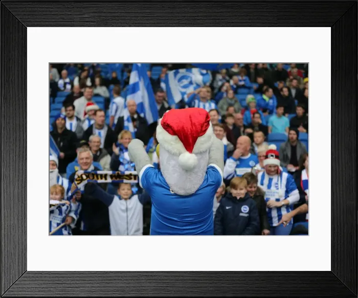 Framed Print : Championship Showdown: Brighton and Hove Albion vs. Middlesbrough (19DEC15) Framed Print : Championship Showdown: Brighton and Hove Albion vs. Middlesbrough (19DEC15)