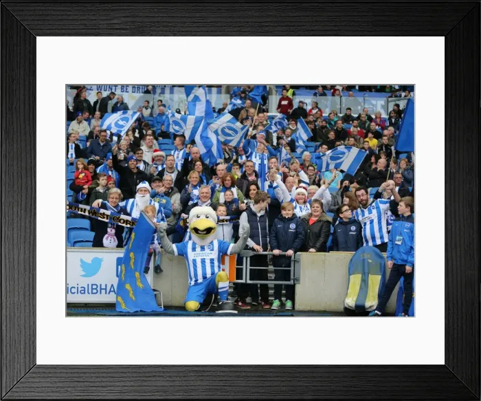 Framed Print : Championship Showdown: Brighton and Hove Albion vs. Middlesbrough (19DEC15) Framed Print : Championship Showdown: Brighton and Hove Albion vs. Middlesbrough (19DEC15)