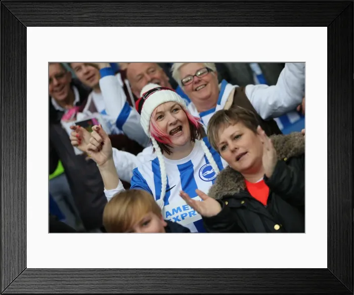 Framed Print : Championship Showdown: Brighton and Hove Albion vs. Middlesbrough (19DEC15) Framed Print : Championship Showdown: Brighton and Hove Albion vs. Middlesbrough (19DEC15)
