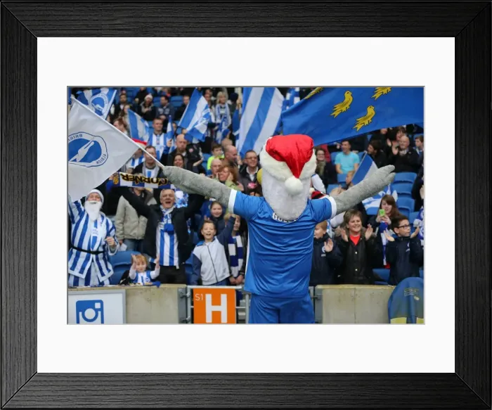 Framed Print : Championship Showdown: Brighton and Hove Albion vs. Middlesbrough (19DEC15) Framed Print : Championship Showdown: Brighton and Hove Albion vs. Middlesbrough (19DEC15)