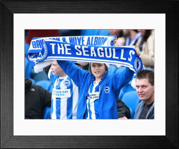 Framed Print : Brighton and Hove Albion vs Middlesbrough: Fans Passionate Showdown at the American Express Community Stadium (19DEC15) Framed Print : Brighton and Hove Albion vs Middlesbrough: Fans Passionate Showdown at the American Express Community Stadium (19DEC15)