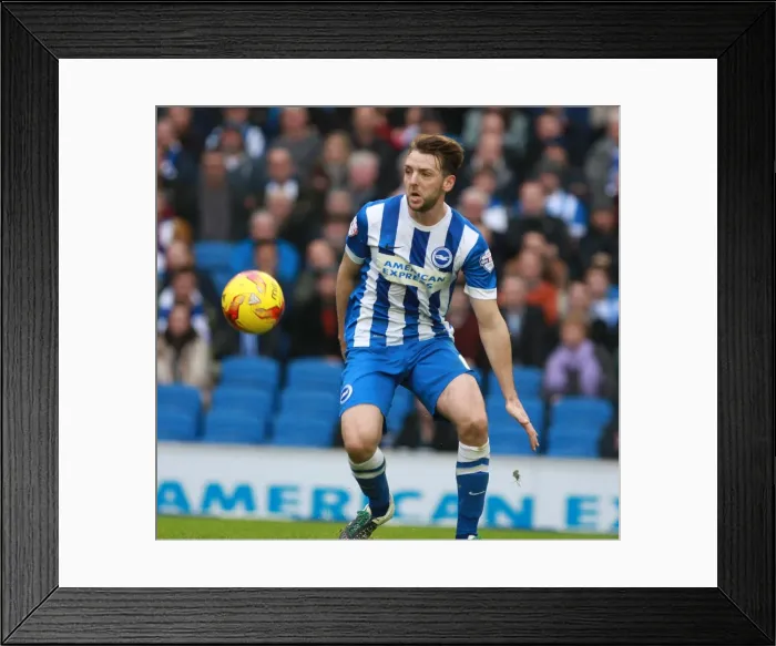 Framed Print : Dale Stephens in Action: Brighton and Hove Albion vs. Middlesbrough, Sky Bet Championship (19.12.2015) Framed Print : Dale Stephens in Action: Brighton and Hove Albion vs. Middlesbrough, Sky Bet Championship (19.12.2015)