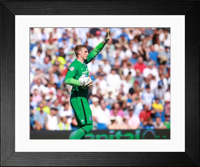Framed Print : Brighton & Hove Albion vs. Blackburn Rovers: David Stockdale's Intense Concentration in Championship Clash (22 / 08 / 2015) Framed Print : Brighton & Hove Albion vs. Blackburn Rovers: David Stockdale's Intense Concentration in Championship Clash (22 / 08 / 2015)