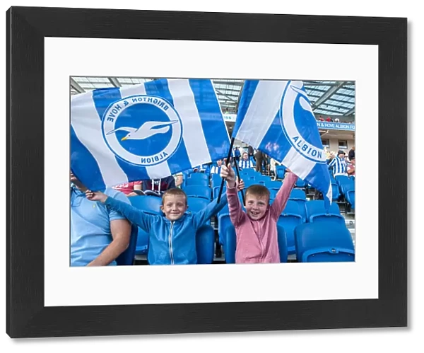 Soccer, Sky Bet Championship, Brighton and Hove Albion, Football League, Championship
