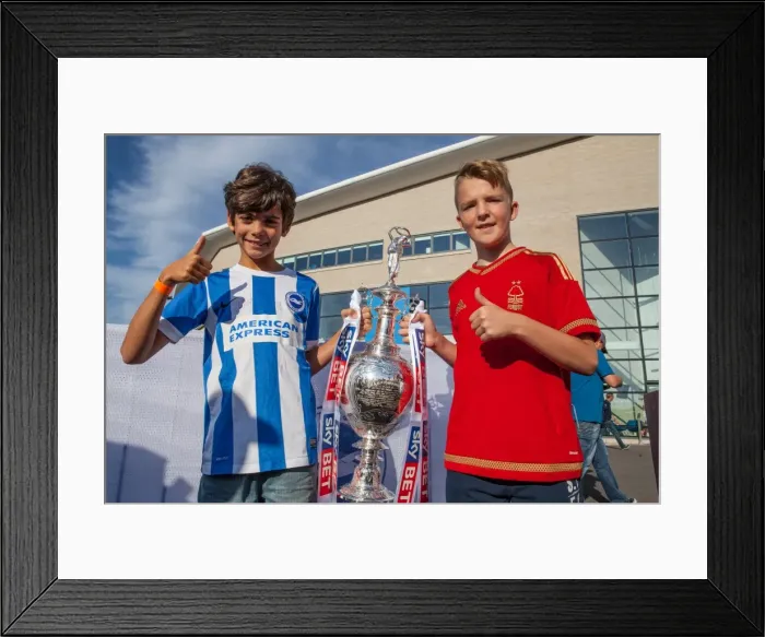 Framed Print : Intense Championship Showdown: Brighton & Hove Albion vs. Nottingham Forest (July 2015)