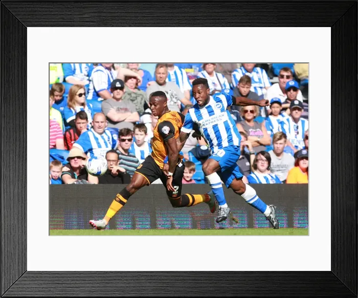 Framed Print : Intense Midfield Showdown: LuaLua vs. Odubajo at Brighton & Hove Albion vs. Hull City (September 12, 2015) Framed Print : Intense Midfield Showdown: LuaLua vs. Odubajo at Brighton & Hove Albion vs. Hull City (September 12, 2015)