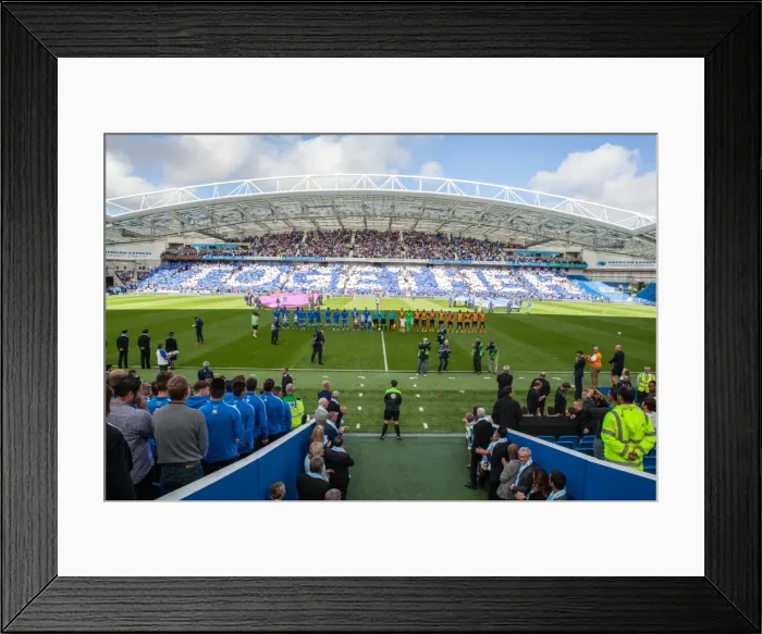 Framed Print : Brighton and Hove Albion vs. Hull City: Pre-Match Tribute - A Moment of Silence for Matt Grimstone and Jacob Schilt (12th September 2015) Framed Print : Brighton and Hove Albion vs. Hull City: Pre-Match Tribute - A Moment of Silence for Matt Grimstone and Jacob Schilt (12th September 2015)