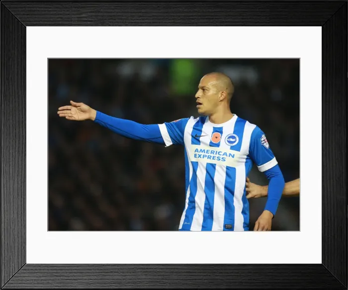 Framed Print : Brighton & Hove Albion's Bobby Zamora in Action Against Milton Keynes Dons, Sky Bet Championship 2015 Framed Print : Brighton & Hove Albion's Bobby Zamora in Action Against Milton Keynes Dons, Sky Bet Championship 2015