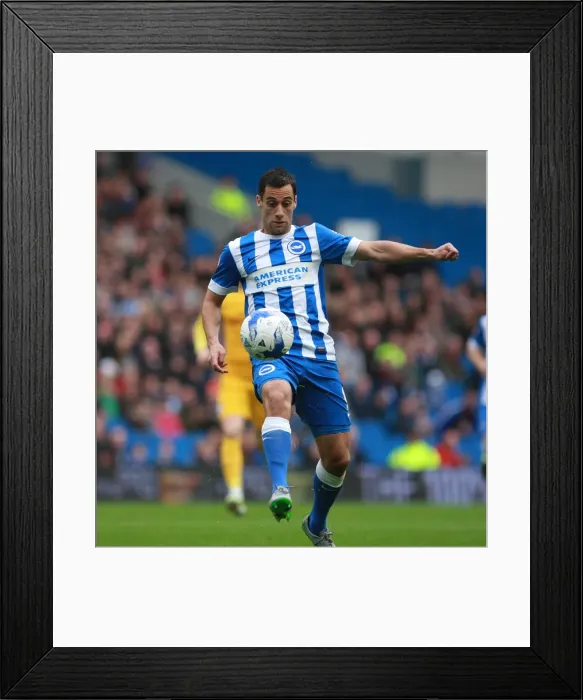 Framed Print : Brighton's Sam Baldock Scores Thrilling Volley Against Preston North End (24 / 10 / 2015) Framed Print : Brighton's Sam Baldock Scores Thrilling Volley Against Preston North End (24 / 10 / 2015)