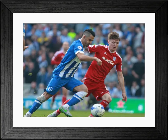 Framed Print : Battle in Midfield: Kayal vs. Mason - Brighton & Hove Albion vs. Cardiff City (3 Oct 2015) Framed Print : Battle in Midfield: Kayal vs. Mason - Brighton & Hove Albion vs. Cardiff City (3 Oct 2015)