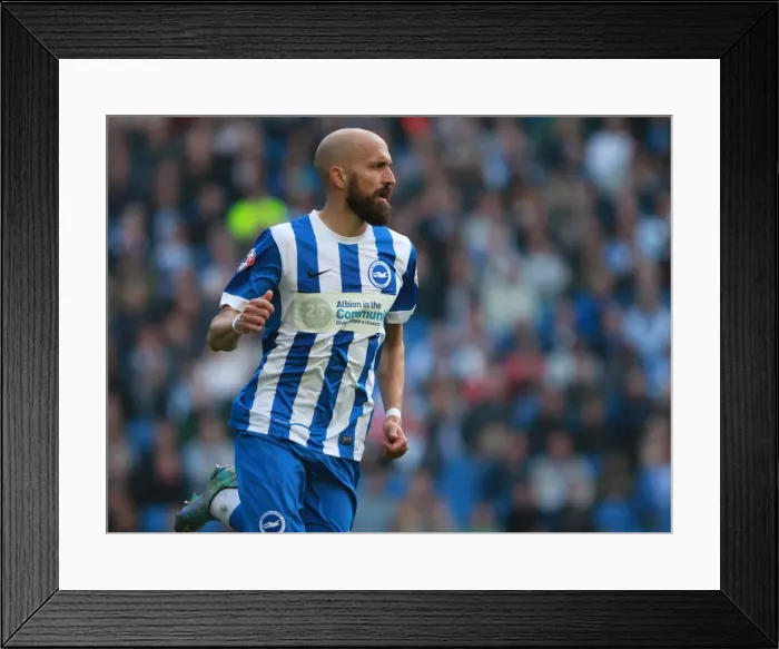 Framed Print : Bruno Saltor in Action: Brighton and Hove Albion vs. Cardiff City, Sky Bet Championship 2015 Framed Print : Bruno Saltor in Action: Brighton and Hove Albion vs. Cardiff City, Sky Bet Championship 2015