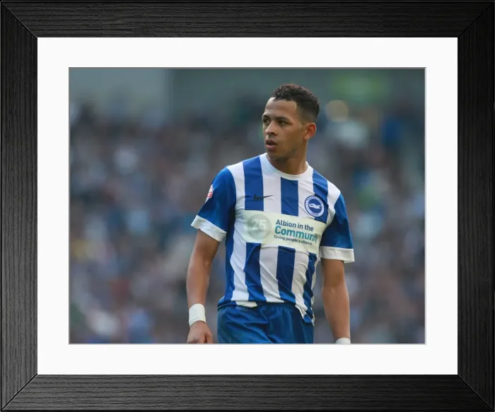 Framed Print : Brighton's Liam Rosenior in Action against Cardiff City, Sky Bet Championship 2015 Framed Print : Brighton's Liam Rosenior in Action against Cardiff City, Sky Bet Championship 2015