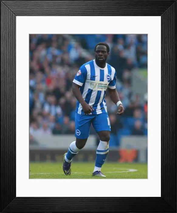 Framed Print : Brighton's Elvis Manu Scores on Home Debut Against Cardiff City (03OCT15) Framed Print : Brighton's Elvis Manu Scores on Home Debut Against Cardiff City (03OCT15)
