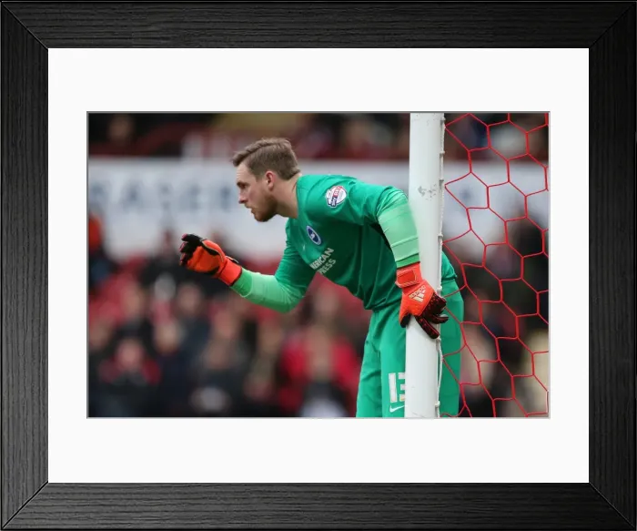 Framed Print : Championship Showdown: Brentford vs. Brighton and Hove Albion at Griffin Park (26DEC15)