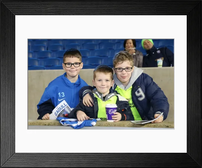 Framed Print : Brighton and Hove Albion v Ipswich Town Sky Bet Championship 29 / 12 / 2015 Framed Print : Brighton and Hove Albion v Ipswich Town Sky Bet Championship 29 / 12 / 2015