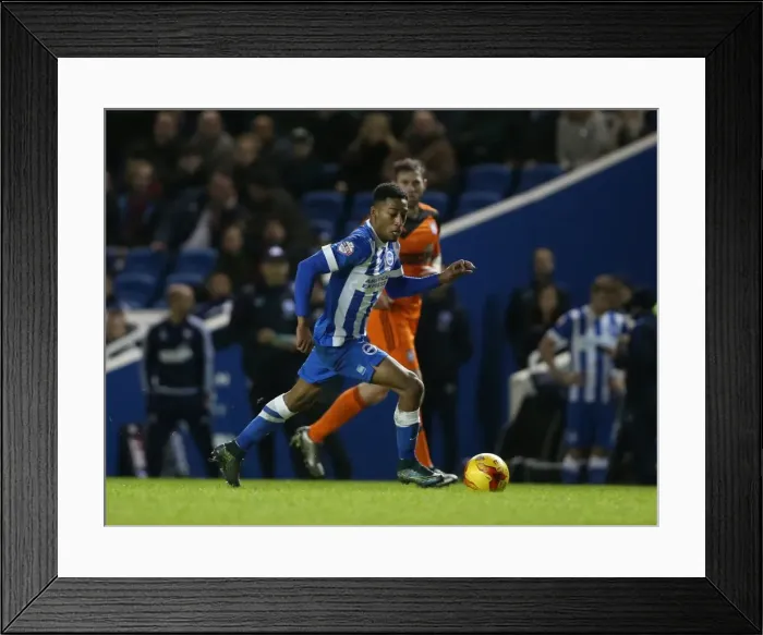 Framed Print : Championship Showdown: Brighton & Hove Albion vs Ipswich Town at American Express Community Stadium (29DEC15) Framed Print : Championship Showdown: Brighton & Hove Albion vs Ipswich Town at American Express Community Stadium (29DEC15)