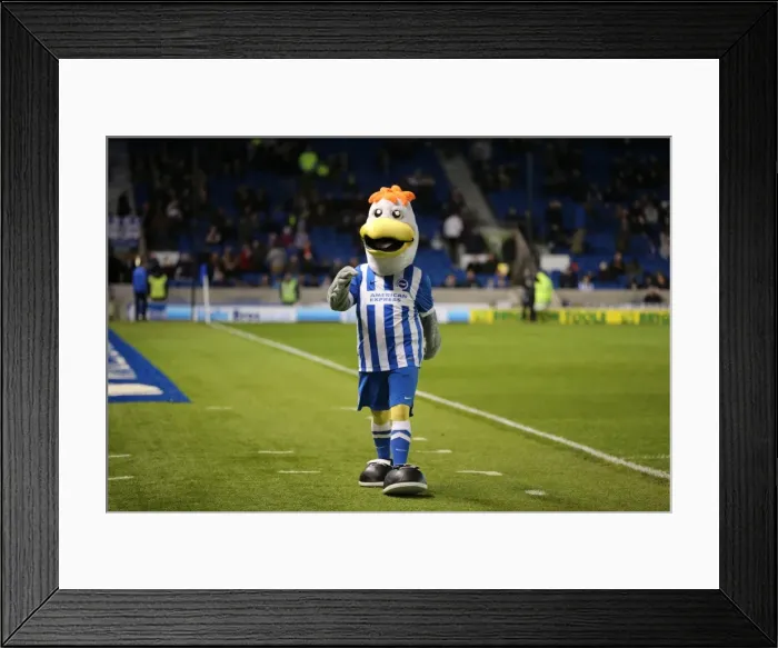 Framed Print : Brighton & Hove Albion vs. Ipswich Town: A Fierce Championship Clash at American Express Community Stadium (29DEC15) Framed Print : Brighton & Hove Albion vs. Ipswich Town: A Fierce Championship Clash at American Express Community Stadium (29DEC15)