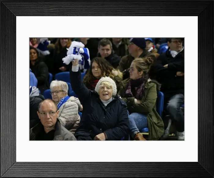 Framed Print : Brighton and Hove Albion vs Ipswich Town: A Fight in the Sky Bet Championship (29DEC15) Framed Print : Brighton and Hove Albion vs Ipswich Town: A Fight in the Sky Bet Championship (29DEC15)