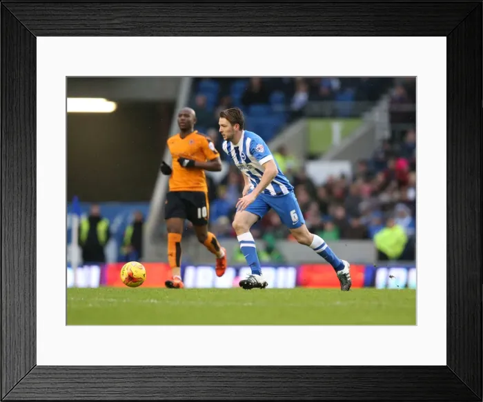 Framed Print : Brighton and Hove Albion vs. Wolverhampton Wanderers: A Fierce Championship Clash (01 / 01 / 2016)