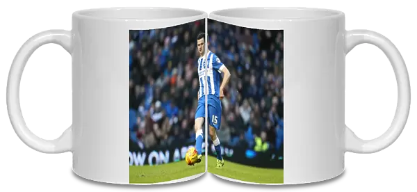 Brighton and Hove Albion v Wolverhampton Wanderers Sky Bet Championship 01  /  01  /  2016