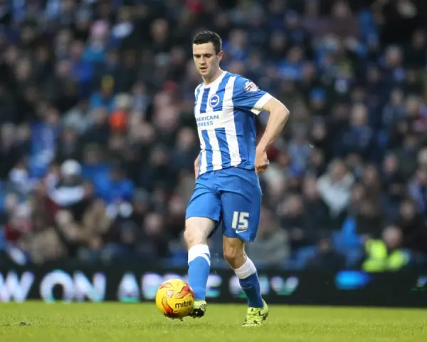 Brighton and Hove Albion v Wolverhampton Wanderers Sky Bet Championship 01  /  01  /  2016