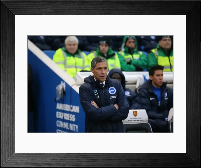 Framed Print : Brighton and Hove Albion vs. Wolverhampton Wanderers: Sky Bet Championship Showdown at American Express Community Stadium (01 / 01 / 2016) Framed Print : Brighton and Hove Albion vs. Wolverhampton Wanderers: Sky Bet Championship Showdown at American Express Community Stadium (01 / 01 / 2016)