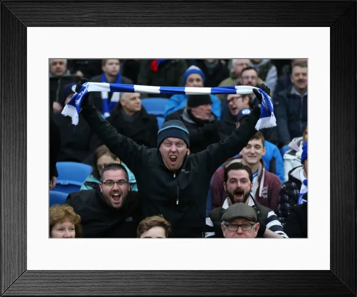 Framed Print : Brighton and Hove Albion vs. Wolverhampton Wanderers: A Fierce Championship Clash (01 / 01 / 2016) Framed Print : Brighton and Hove Albion vs. Wolverhampton Wanderers: A Fierce Championship Clash (01 / 01 / 2016)