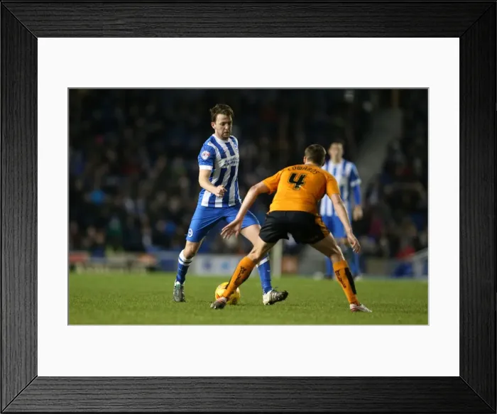 Framed Print : Brighton and Hove Albion vs. Wolverhampton Wanderers: A Fierce Championship Clash (01 / 01 / 2016) Framed Print : Brighton and Hove Albion vs. Wolverhampton Wanderers: A Fierce Championship Clash (01 / 01 / 2016)