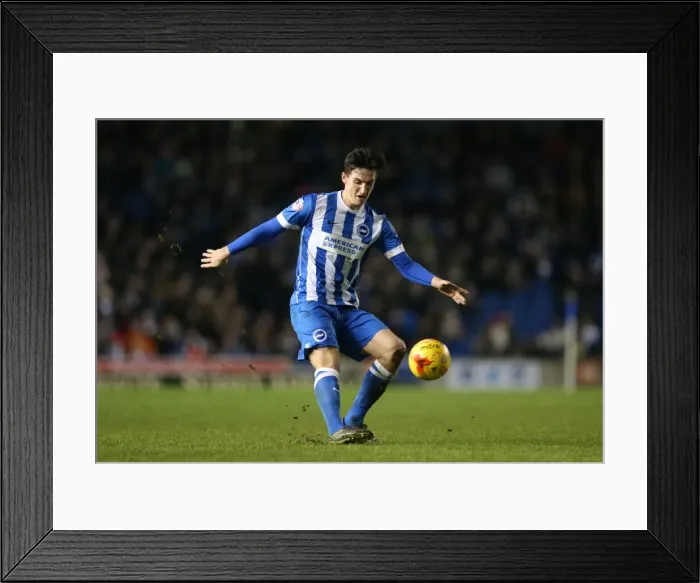 Framed Print : Brighton and Hove Albion vs. Wolverhampton Wanderers: A Fierce Championship Clash (01.01.2016) Framed Print : Brighton and Hove Albion vs. Wolverhampton Wanderers: A Fierce Championship Clash (01.01.2016)