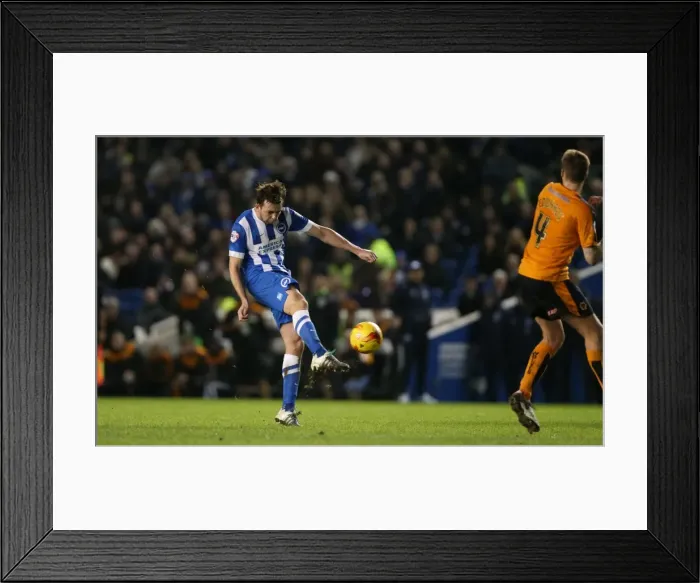Framed Print : New Year's Battle in the Championship: Brighton & Hove Albion vs. Wolverhampton Wanderers (01 / 01 / 2016) Framed Print : New Year's Battle in the Championship: Brighton & Hove Albion vs. Wolverhampton Wanderers (01 / 01 / 2016)