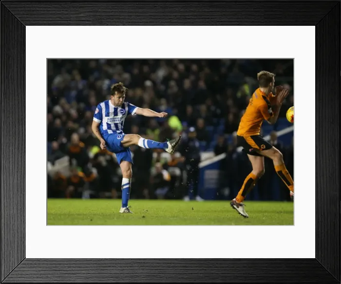 Framed Print : Brighton and Hove Albion vs. Wolverhampton Wanderers: A Fierce Championship Clash (01 / 01 / 2016) Framed Print : Brighton and Hove Albion vs. Wolverhampton Wanderers: A Fierce Championship Clash (01 / 01 / 2016)