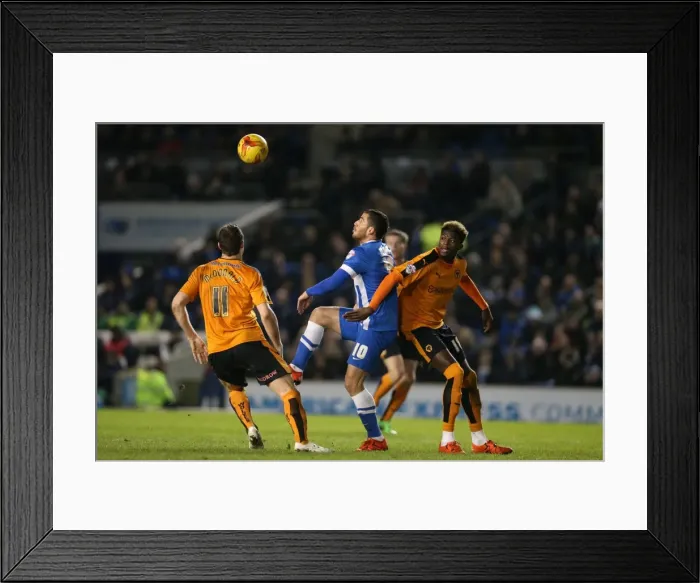 Framed Print : Sky Bet Championship Showdown: Brighton & Hove Albion vs. Wolverhampton Wanderers (01.01.2016) Framed Print : Sky Bet Championship Showdown: Brighton & Hove Albion vs. Wolverhampton Wanderers (01.01.2016)