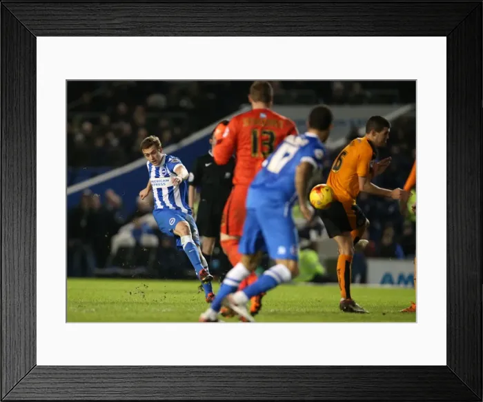 Framed Print : Brighton and Hove Albion vs. Wolverhampton Wanderers: A Fierce Championship Clash (01 / 01 / 2016) Framed Print : Brighton and Hove Albion vs. Wolverhampton Wanderers: A Fierce Championship Clash (01 / 01 / 2016)