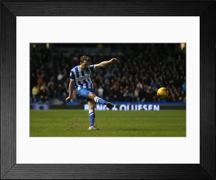 Framed Print : Brighton and Hove Albion vs. Wolverhampton Wanderers: A Fierce Championship Clash (01 / 01 / 2016) Framed Print : Brighton and Hove Albion vs. Wolverhampton Wanderers: A Fierce Championship Clash (01 / 01 / 2016)