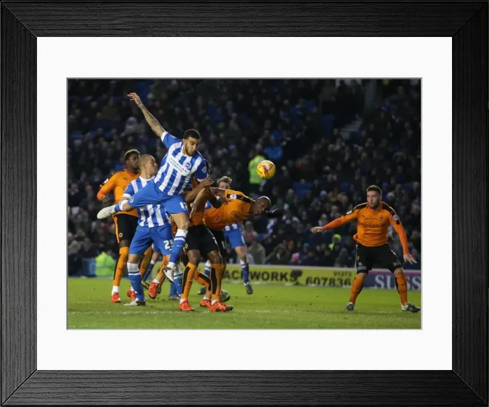 Framed Print : Brighton and Hove Albion vs. Wolverhampton Wanderers: A Fierce Championship Clash (01 / 01 / 2016) Framed Print : Brighton and Hove Albion vs. Wolverhampton Wanderers: A Fierce Championship Clash (01 / 01 / 2016)