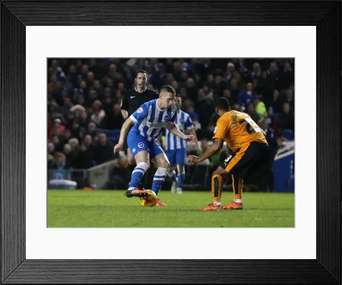 Framed Print : Brighton and Hove Albion vs. Wolverhampton Wanderers: Sky Bet Championship Clash at American Express Community Stadium (01.01.2016) Framed Print : Brighton and Hove Albion vs. Wolverhampton Wanderers: Sky Bet Championship Clash at American Express Community Stadium (01.01.2016)