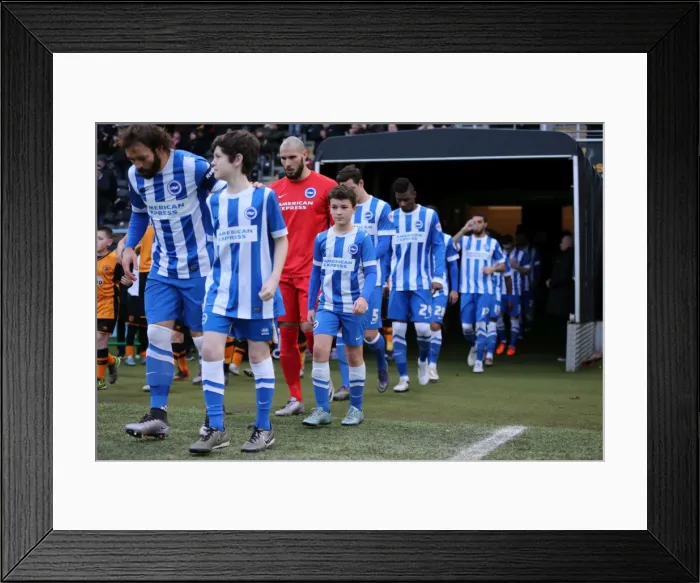 Framed Print : FA Cup Showdown: Hull City vs. Brighton & Hove Albion (09.01.2016) Framed Print : FA Cup Showdown: Hull City vs. Brighton & Hove Albion (09.01.2016)