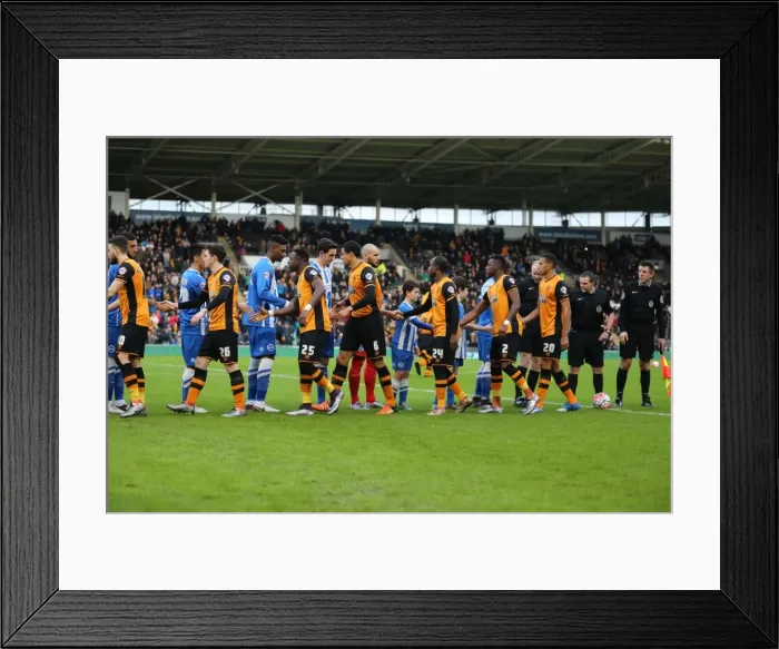 Framed Print : FA Cup Showdown: Hull City vs. Brighton and Hove Albion (09.01.2016) Framed Print : FA Cup Showdown: Hull City vs. Brighton and Hove Albion (09.01.2016)