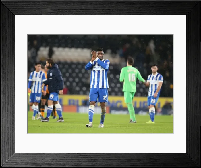 Framed Print : FA Cup Clash: Hull City vs. Brighton & Hove Albion (09.01.2016) Framed Print : FA Cup Clash: Hull City vs. Brighton & Hove Albion (09.01.2016)