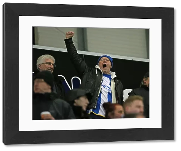 Brighton and Hove Albion's Triumph over Rotherham United in Sky Bet Championship (January 12, 2016)