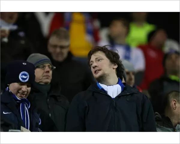 Brighton and Hove Albion's Victory Over Rotherham United in Sky Bet Championship: 12 January 2016 (Rotherham United 1)