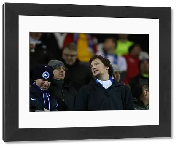 Brighton and Hove Albion's Victory Over Rotherham United in Sky Bet Championship: 12 January 2016 (Rotherham United 1)