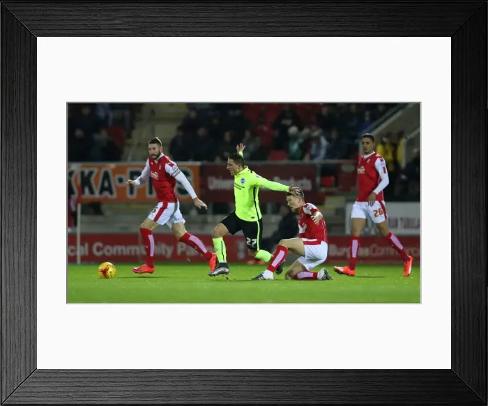 Framed Print : Brighton and Hove Albion Triumph Over Rotherham United in Sky Bet Championship Clash (12 JAN 2016) Framed Print : Brighton and Hove Albion Triumph Over Rotherham United in Sky Bet Championship Clash (12 JAN 2016)