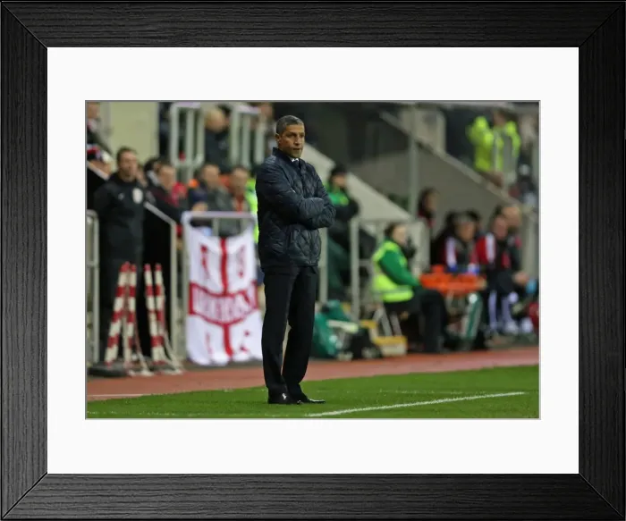 Framed Print : Brighton and Hove Albion's Dominant Victory Over Rotherham United in Sky Bet Championship (January 12, 2016) Framed Print : Brighton and Hove Albion's Dominant Victory Over Rotherham United in Sky Bet Championship (January 12, 2016)